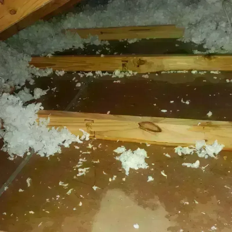 Attic Water Damage in Sherman, TX