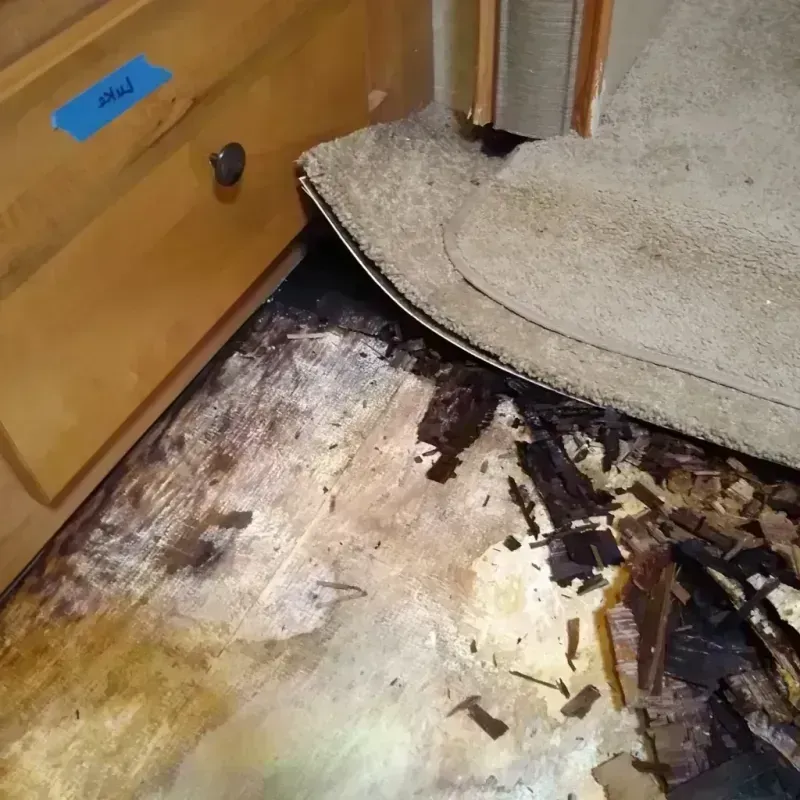 Wood Floor Water Damage in Sherman, TX